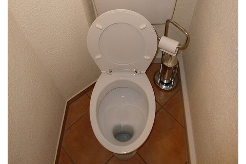 Small Toilet