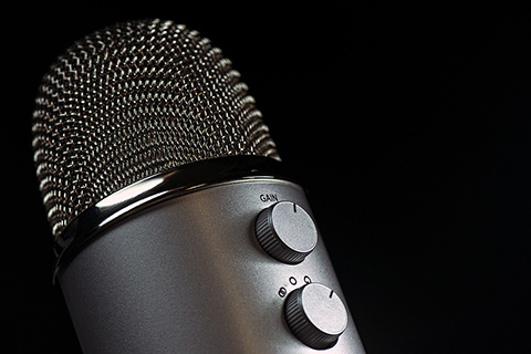 Vocal Mic