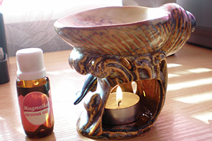 Essential oil diffuser