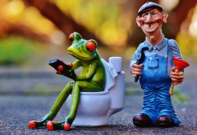 Cartoon image of a plumber and a frog